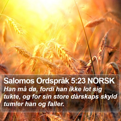 Salomos Ordspråk 5:23 NORSK Bible Verse Image
