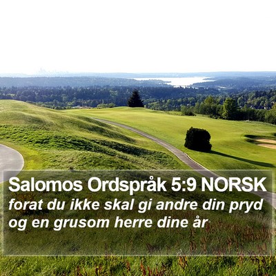 Salomos Ordspråk 5:9 NORSK Bible Verse Image