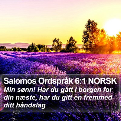 Salomos Ordspråk 6:1 NORSK Bible Verse Image