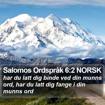 Salomos Ordspråk 6:2 NORSK Bible Verse Image