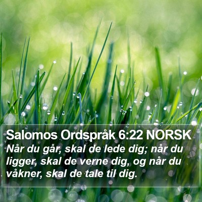 Salomos Ordspråk 6:22 NORSK Bible Verse Image