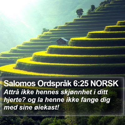 Salomos Ordspråk 6:25 NORSK Bible Verse Image