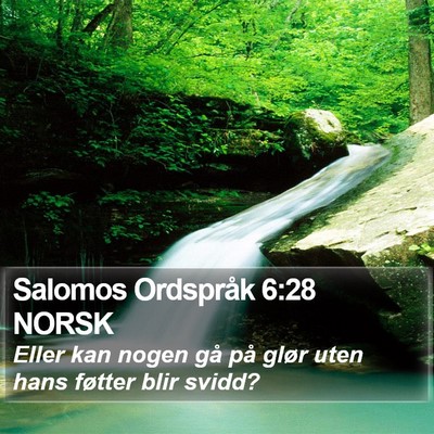 Salomos Ordspråk 6:28 NORSK Bible Verse Image