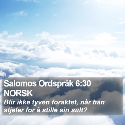 Salomos Ordspråk 6:30 NORSK Bible Verse Image