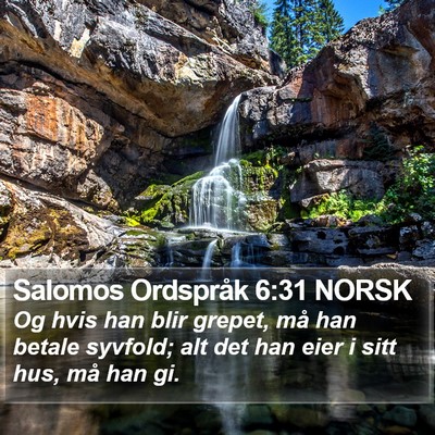 Salomos Ordspråk 6:31 NORSK Bible Verse Image