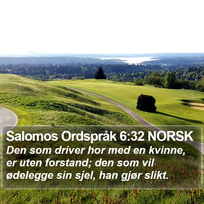 Salomos Ordspråk 6:32 NORSK Bible Verse Image