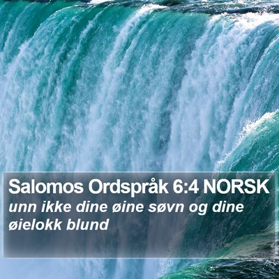 Salomos Ordspråk 6:4 NORSK Bible Verse Image