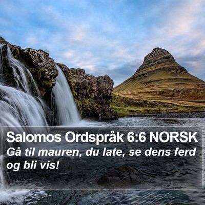 Salomos Ordspråk 6:6 NORSK Bible Verse Image