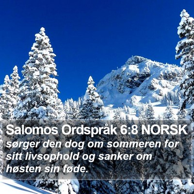 Salomos Ordspråk 6:8 NORSK Bible Verse Image