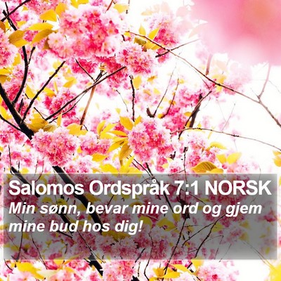 Salomos Ordspråk 7:1 NORSK Bible Verse Image