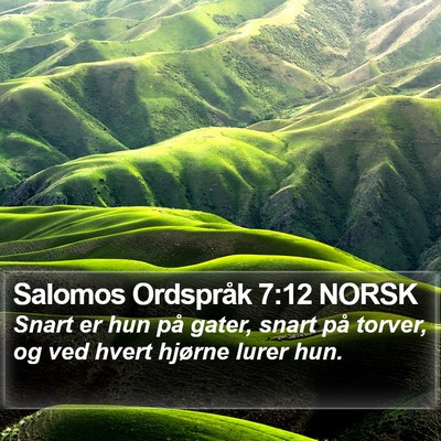 Salomos Ordspråk 7:12 NORSK Bible Verse Image