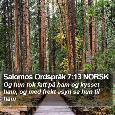 Salomos Ordspråk 7:13 NORSK Bible Verse Image