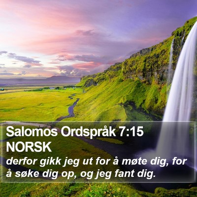 Salomos Ordspråk 7:15 NORSK Bible Verse Image