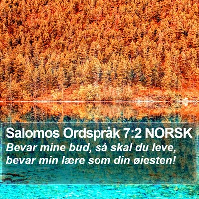 Salomos Ordspråk 7:2 NORSK Bible Verse Image