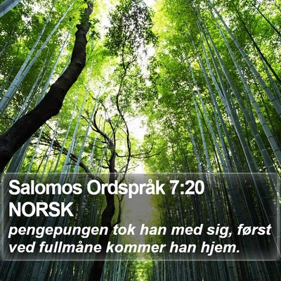 Salomos Ordspråk 7:20 NORSK Bible Verse Image