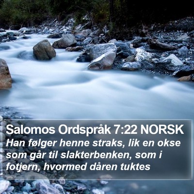 Salomos Ordspråk 7:22 NORSK Bible Verse Image