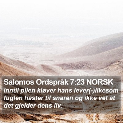 Salomos Ordspråk 7:23 NORSK Bible Verse Image