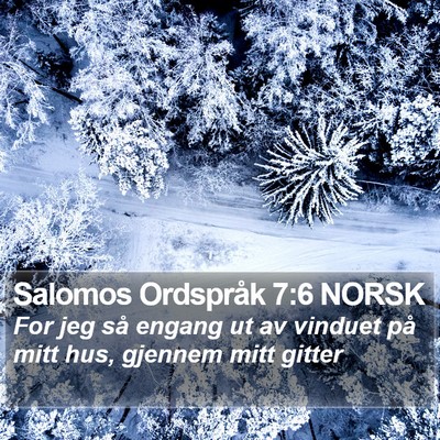 Salomos Ordspråk 7:6 NORSK Bible Verse Image