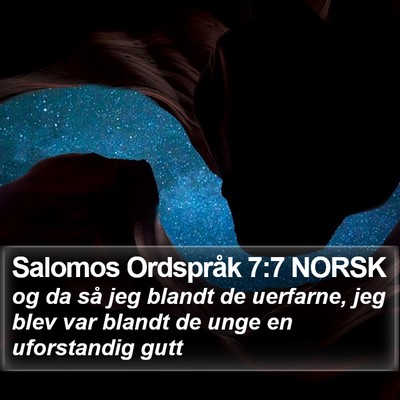 Salomos Ordspråk 7:7 NORSK Bible Verse Image