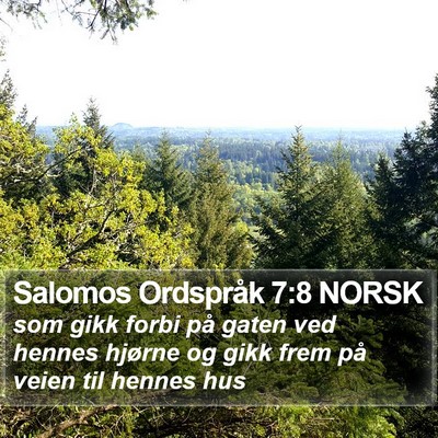 Salomos Ordspråk 7:8 NORSK Bible Verse Image