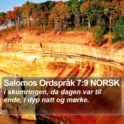 Salomos Ordspråk 7:9 NORSK Bible Verse Image