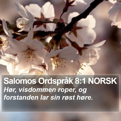 Salomos Ordspråk 8:1 NORSK Bible Verse Image