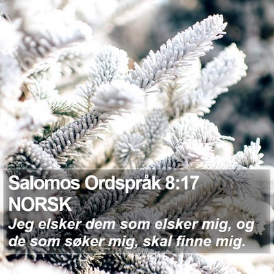 Salomos Ordspråk 8:17 NORSK Bible Verse Image