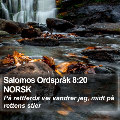 Salomos Ordspråk 8:20 NORSK Bible Verse Image
