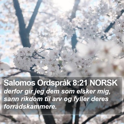 Salomos Ordspråk 8:21 NORSK Bible Verse Image