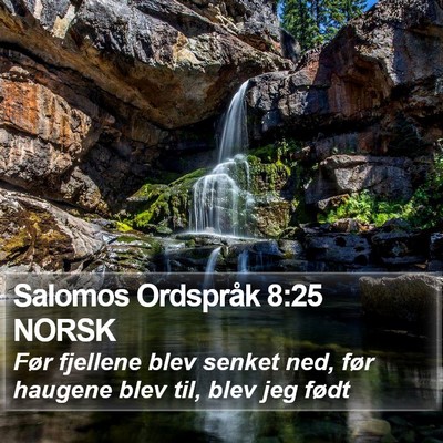 Salomos Ordspråk 8:25 NORSK Bible Verse Image