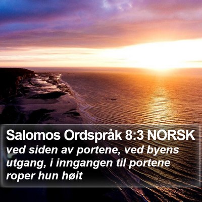 Salomos Ordspråk 8:3 NORSK Bible Verse Image