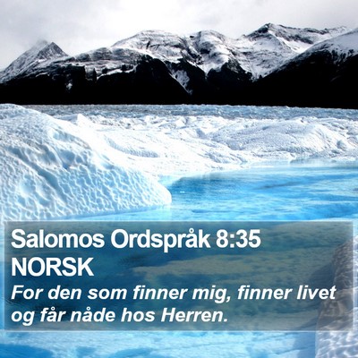 Salomos Ordspråk 8:35 NORSK Bible Verse Image