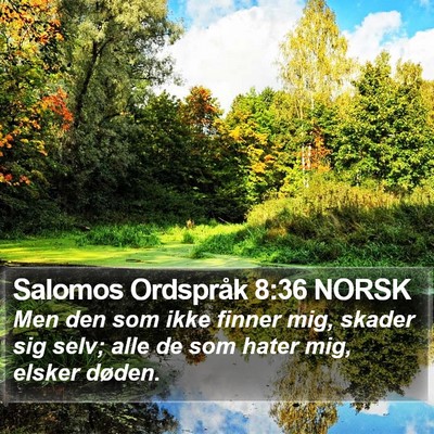 Salomos Ordspråk 8:36 NORSK Bible Verse Image