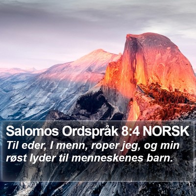 Salomos Ordspråk 8:4 NORSK Bible Verse Image