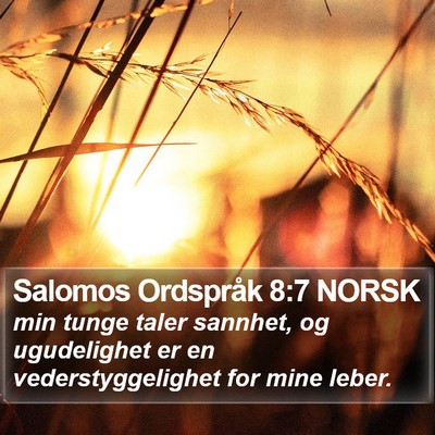 Salomos Ordspråk 8:7 NORSK Bible Verse Image