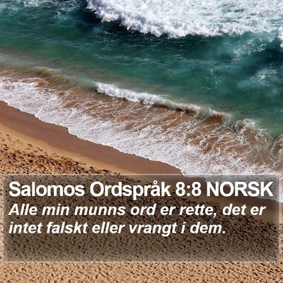 Salomos Ordspråk 8:8 NORSK Bible Verse Image