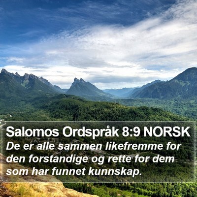Salomos Ordspråk 8:9 NORSK Bible Verse Image