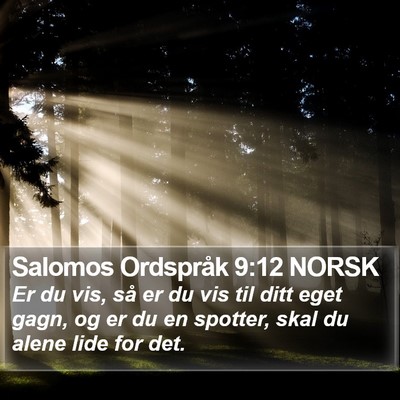 Salomos Ordspråk 9:12 NORSK Bible Verse Image
