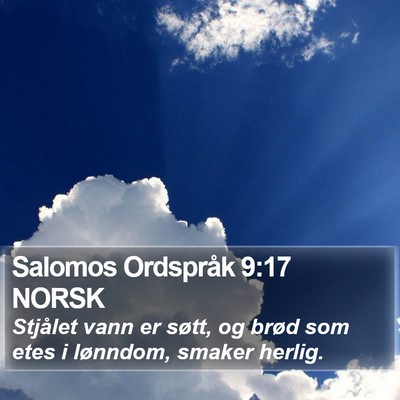 Salomos Ordspråk 9:17 NORSK Bible Verse Image