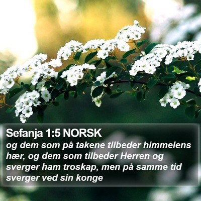 Sefanja 1:5 NORSK Bible Verse Image