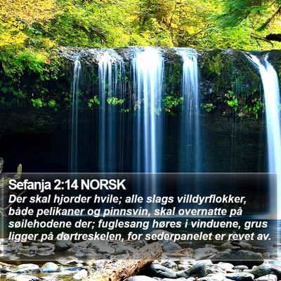 Sefanja 2:14 NORSK Bible Verse Image