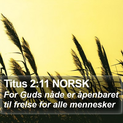 Titus 2:11 NORSK Bible Verse Image