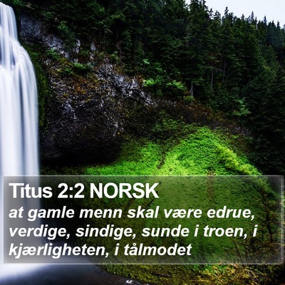 Titus 2:2 NORSK Bible Verse Image