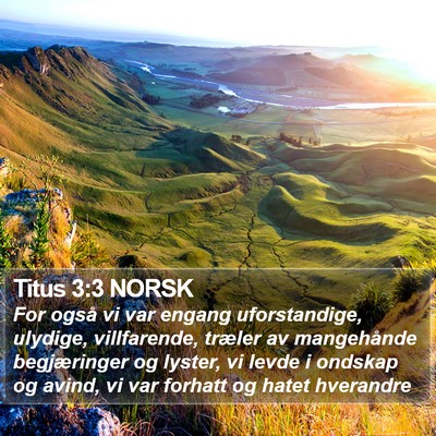 Titus 3:3 NORSK Bible Verse Image