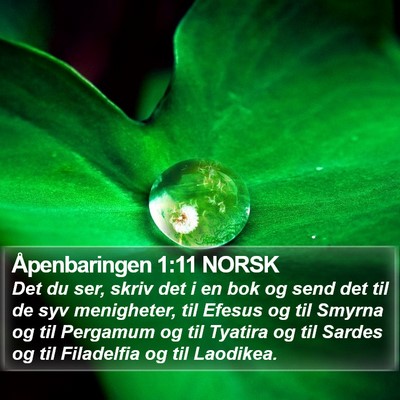 Åpenbaringen 1:11 NORSK Bible Verse Image