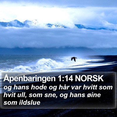 Åpenbaringen 1:14 NORSK Bible Verse Image