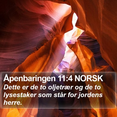 Åpenbaringen 11:4 NORSK Bible Verse Image
