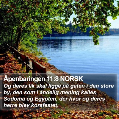 Åpenbaringen 11:8 NORSK Bible Verse Image