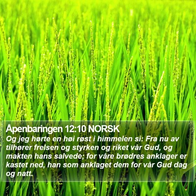 Åpenbaringen 12:10 NORSK Bible Verse Image