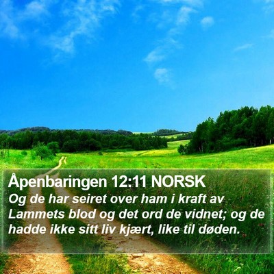 Åpenbaringen 12:11 NORSK Bible Verse Image